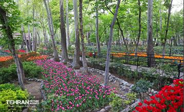 تور عکاسی از باغ ایرانی 8