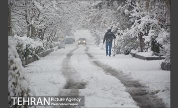 بارش برف زمستانی در تهران-2 11