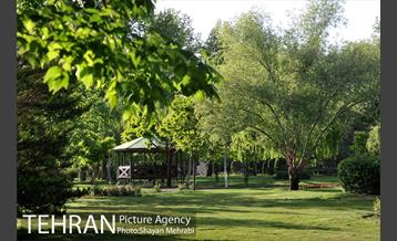 بوستان لاله 40