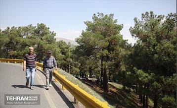 روز طبیعت در پارک جنگلی لویزان 30