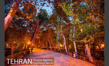 طبیعت پاییزی پارک شهر 22