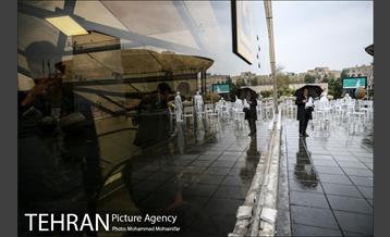 بارش باران بهاری در تهران 11