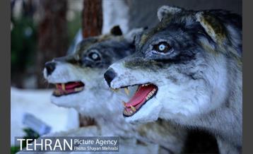 ژوراسیک پارک تهران 2