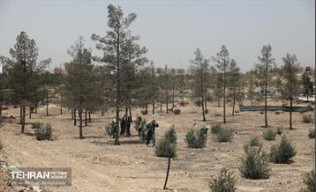 اینجا کارگاهه؛ پروژه بام ری 34