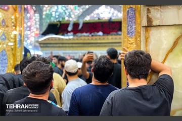 حرم مطهر امام علی (ع) در آستانه اربعین حسینی 10