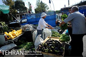 میوه فروشان خیابانی 9