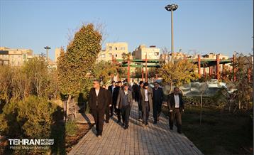 بازدید کمیسیون برنامه و بودجه شورای شهر از پروژه‌های منطقه 11 29