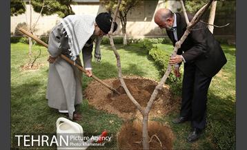 کاشت نهال توسط رهبر معظم انقلاب اسلامی 3