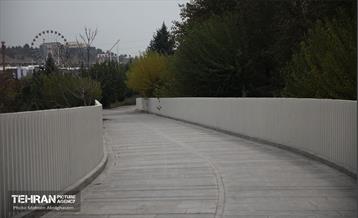 طبیعت پاییزی باغ راه فدک تهران 3