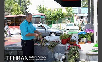 گشتی در خیابان ولیعصر(عج) 11