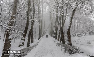 روایت مه‌و‌برف در بوستان سنگی تهران  4