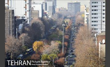 روزهای آفتابی زمستان 7