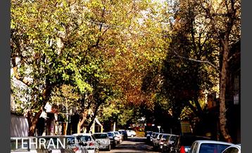 محله نازی آباد 36