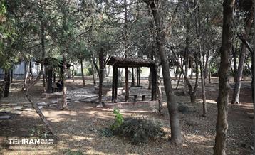 طبیعت پاییزی باغ راه فدک تهران 41