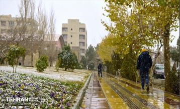 بارش برف زمستانی در منطقه 14