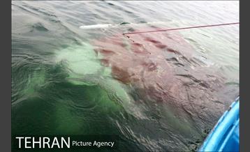 سقوط یه فروند بالگرد در دریاچه شهدای خلیج فارس 28