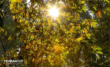 سمفونی رنگ های پاییزی - کاخ سعدآباد 5