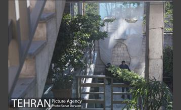 خانه نمایش‎ 29