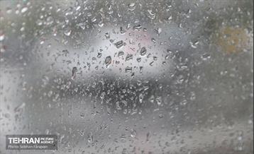 بارش باران بهاری در تهران - 1 3