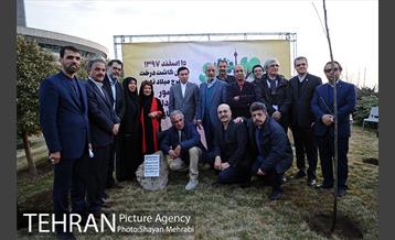 کاشت شش نهال درخت زیتون با حضور کارگرداران سینمای ایران 19