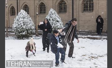 روز برفی در باغ موزه قصر‎ 27