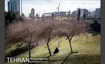 هوای پاک تهران 11