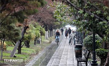 بارش باران زمستانی در تهران 16