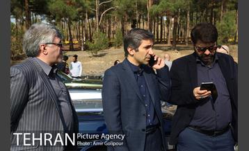 کارناوال ماشین های کلاسیک 18