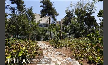 بوستان شفق 19