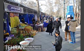 بازارچه نوروزی پارک ملت 12