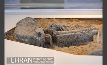 موزه ملی ایران باستان 42