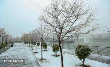 پل طبیعت سپیدپوش شد 5