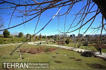 بوستان پلیس 33