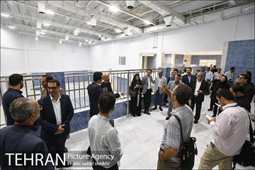 شبگردی اصحاب رسانه در منطقه چهار شهرداری تهران  34