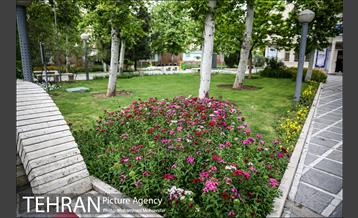 بوستان سیمرغ 3