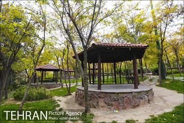 طبیعت پاییزی بوستان فدک 17