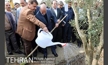 آیین کاشت درخت دانش در بوستان جنگلی چیتگر 39