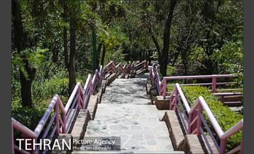 بوستان گلابدره 23