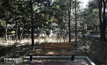 افتتاح بوستان ملل در منطقه ۳ 15