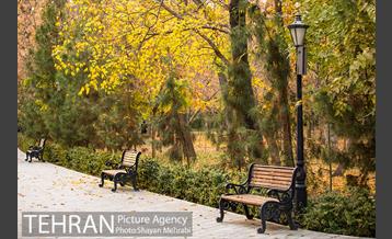پاییز پارک شهر 14
