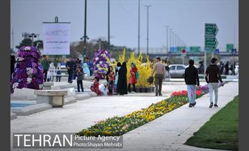 رویش گل های لاله در میدان آزادی 19