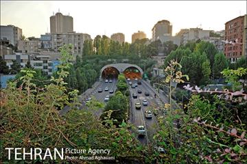 یوسف آباد، بی باغ و بی آسیاب 7
