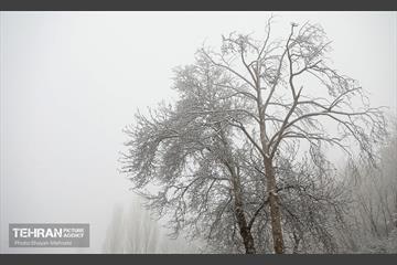 بارش برف زمستانی در تهران 34