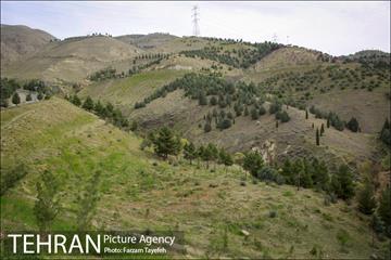 روز طبیعت در بوستان هاى منطقه ٥