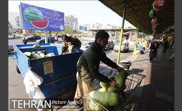 خرید شب یلدا در بازار میوه و تر بار صادقیه 2