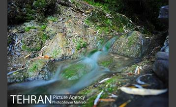 بوستان نهج البلاغه (فاز١) 20