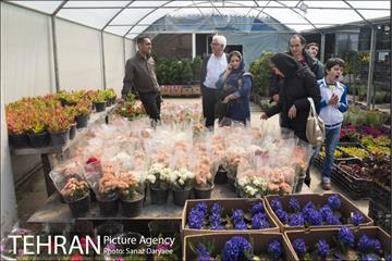 بازار گل شهید محلاتی 6