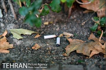 فیلتر سیگار زباله است 32
