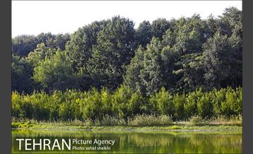 باغ گیاه شناسی ملی ایران  12
