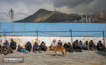 اجرای طرح ضربتی پاکسازی دره فرحزاد 45